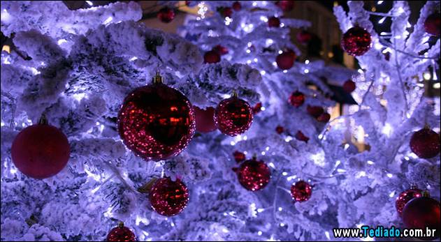 ano-novo-em-paris-02