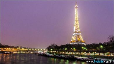 Caminhe pelas ruas de Paris no Ano Novo (16 fotos) 42