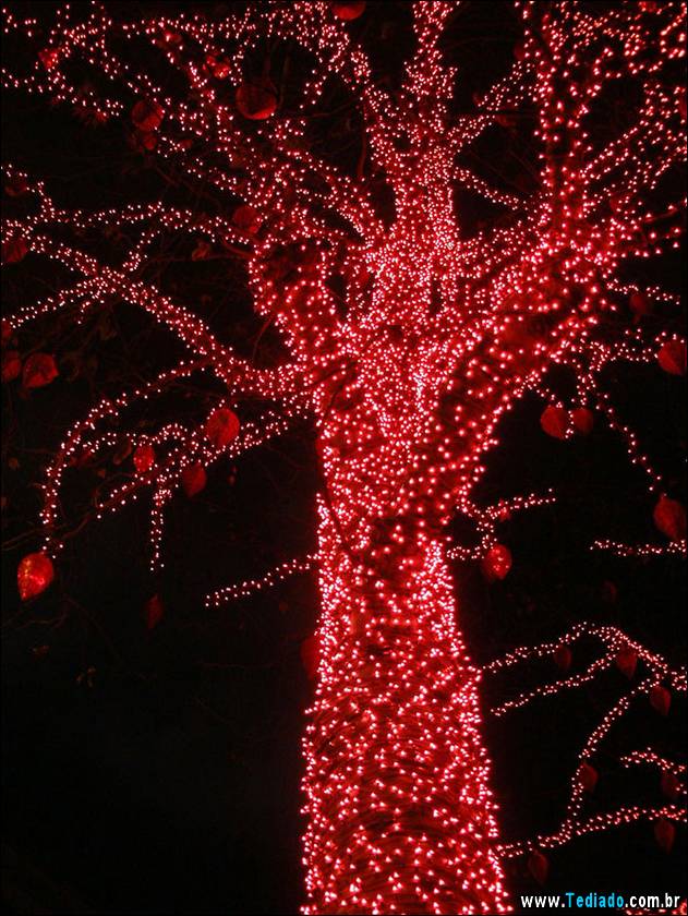 ano-novo-em-paris-12