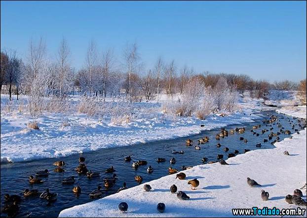 fotos-impressionantes-da-natureza-do-inverno-05