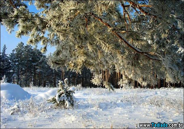 fotos-impressionantes-da-natureza-do-inverno-07