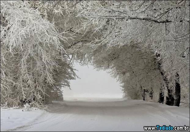 fotos-impressionantes-da-natureza-do-inverno-09