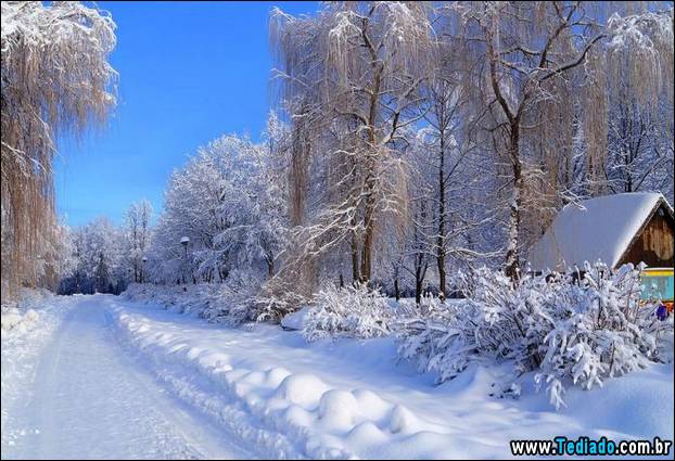 fotos-impressionantes-da-natureza-do-inverno-18