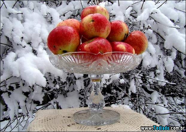 fotos-impressionantes-da-natureza-do-inverno-20