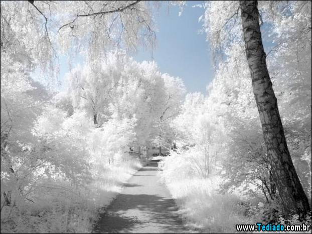 fotos-impressionantes-da-natureza-do-inverno-27