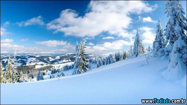 fotos-impressionantes-da-natureza-do-inverno-29