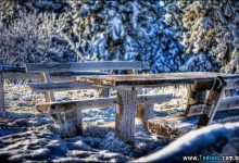 Fotos impressionantes da natureza do inverno (36 fotos) 8