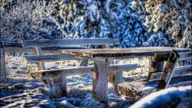 Fotos impressionantes da natureza do inverno (36 fotos) 38