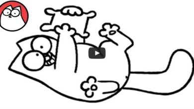 Gato Simon – Especial de Natal 7