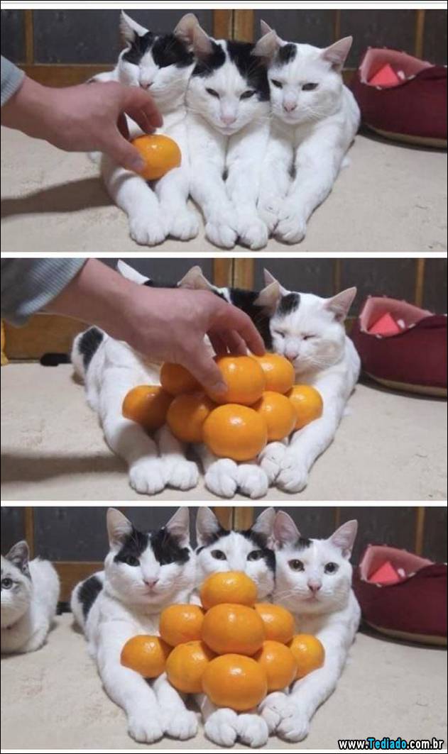 imagens-diversas-07