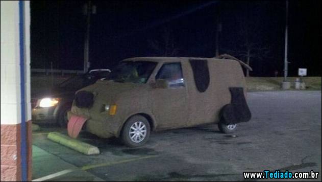 imagens-que-fazer-voce-sorrir-05