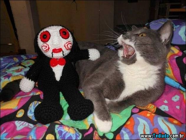 imagens-que-fazer-voce-sorrir-07