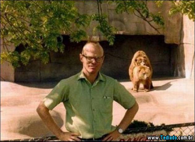 imagens-que-fazer-voce-sorrir-08