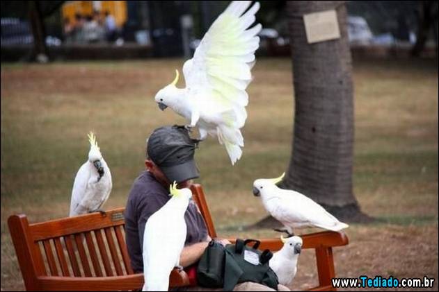 imagens-que-fazer-voce-sorrir-10