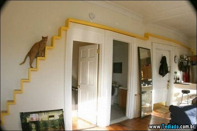 imagens-que-fazer-voce-sorrir-15