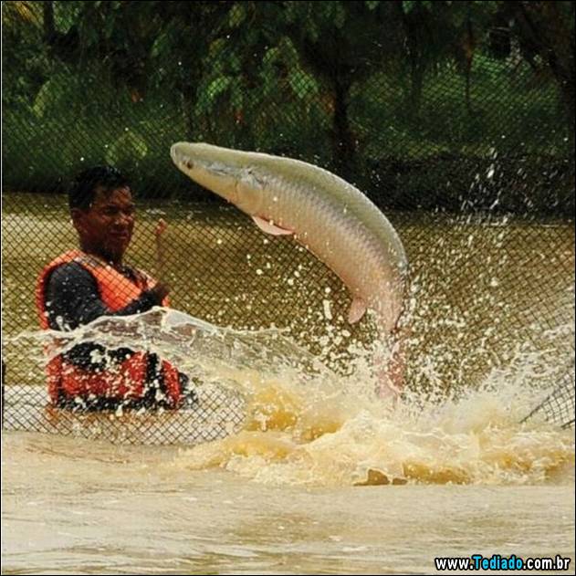 imagens-que-fazer-voce-sorrir-28