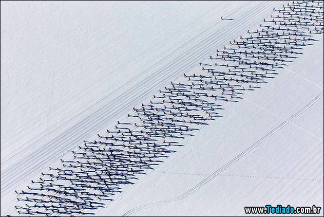 melhores-fotos-esportivos-de-2014-07