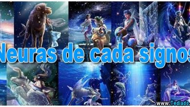 Neuras de cada signos 8