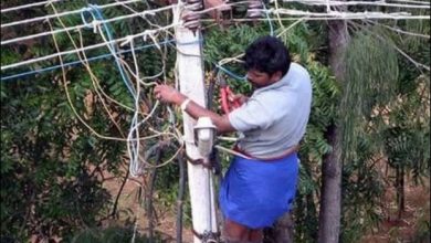 Segurança em primeiro lugar (33 fotos) 43