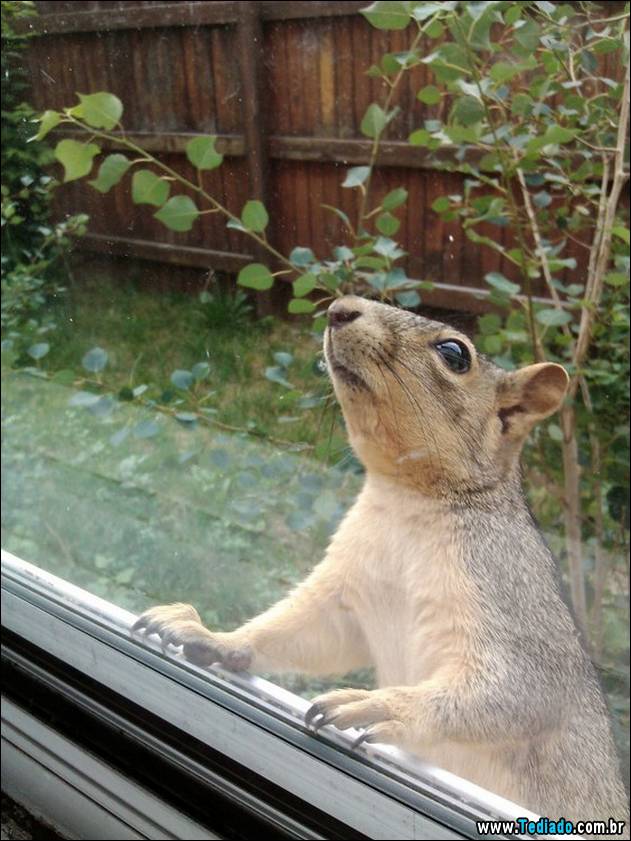 PUBLISHED by catsmob.com