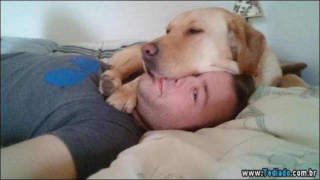 animais-que-nao-sabem-o-seu-lugar-12