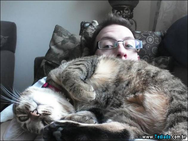 animais-que-nao-sabem-o-seu-lugar-14