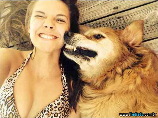 animais-que-nao-sabem-o-seu-lugar-17