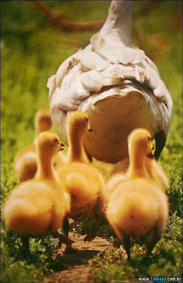 comedia-humor-positivo-10