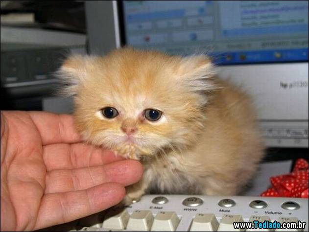 comedia-humor-positivo-12