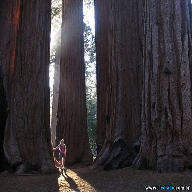 comedia-humor-positivo-17