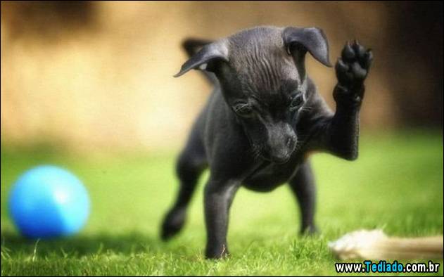 comedia-humor-positivo-18