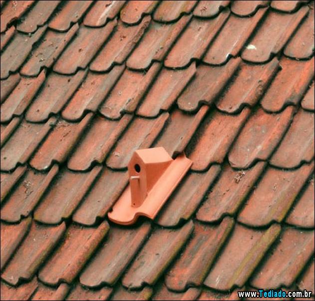 fotos-de-bom-humor-01