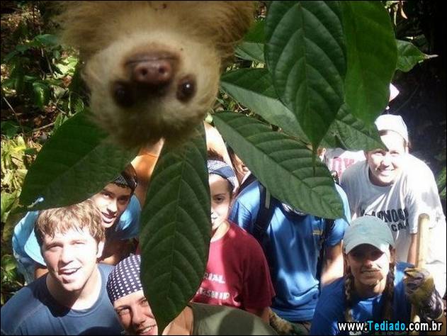 fotos-de-bom-humor-05