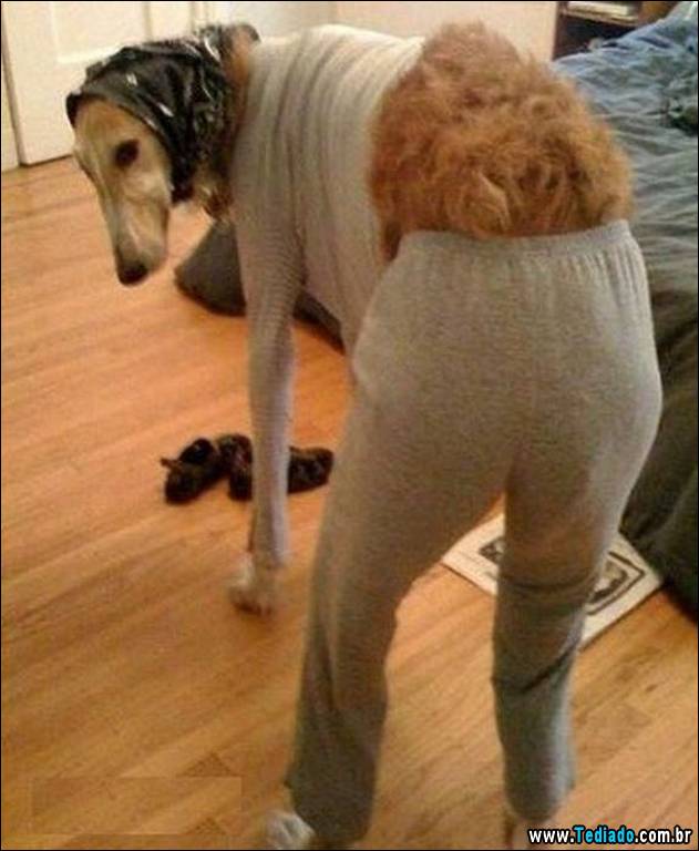 fotos-de-bom-humor-10