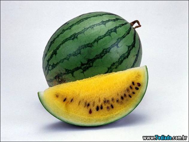 fotos-de-bom-humor-15