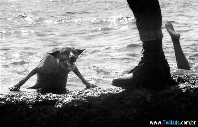 fotos-de-bom-humor-16