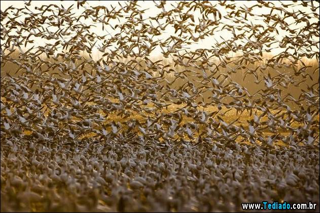 fotos-de-bom-humor-21