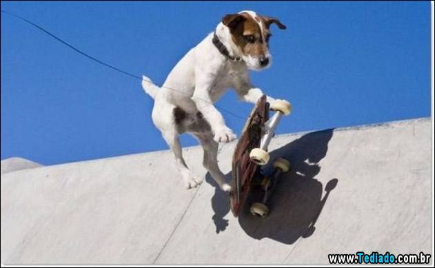 fotos-de-bom-humor-40