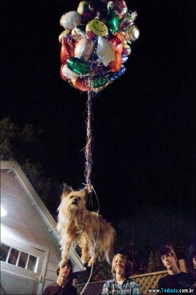 fotos-de-bom-humor-51