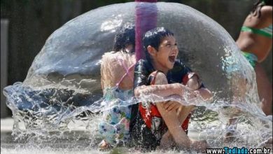 O humor positivo (65 fotos) 14