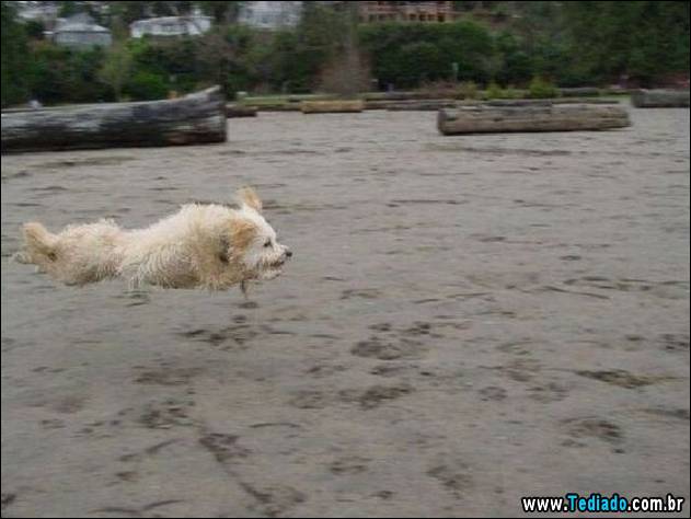 imagens-positivas-10