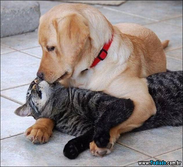 imagens-positivas-11