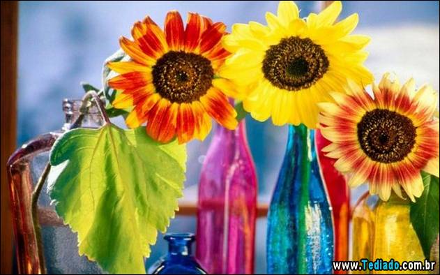 imagens-positivas-15