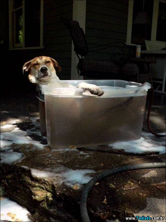 imagens-positivas-16