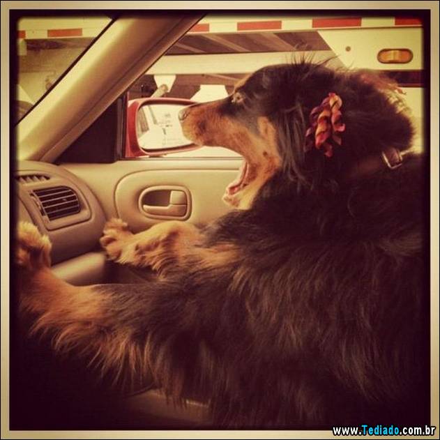 imagens-positivas-23