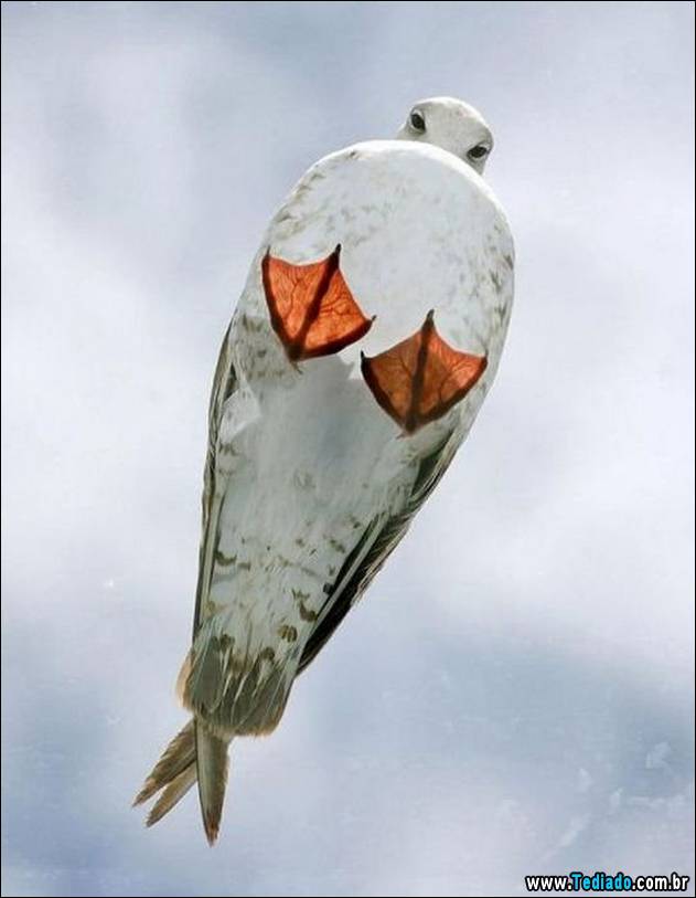 imagens-positivas-25