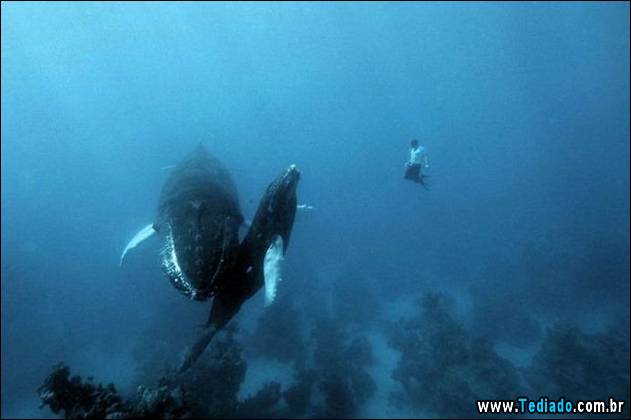 imagens-positivas-33