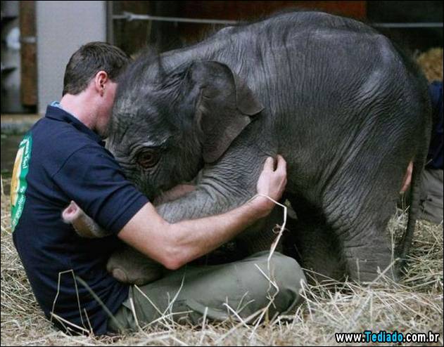 imagens-positivas-36