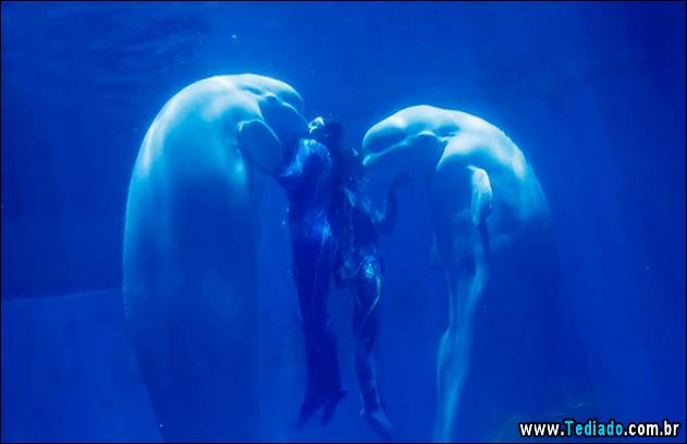 melhores-imagens-de-animais-05