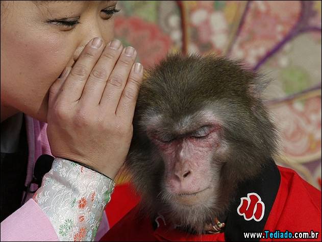 melhores-imagens-de-animais-07